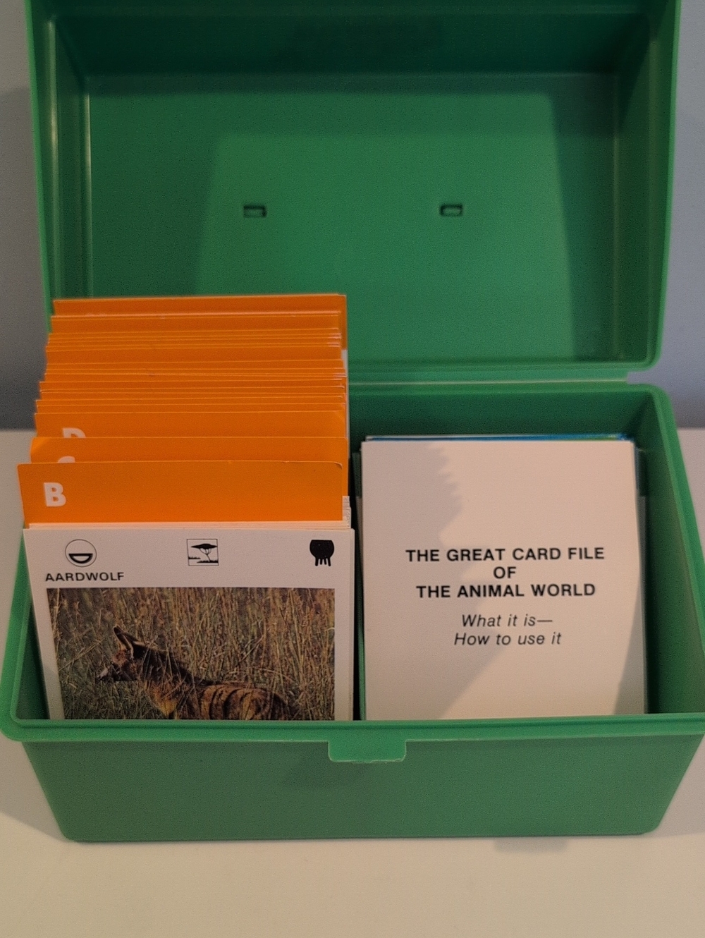 1975 Illustrated Wildlife Treasury File Cards Of The Animal World Case & Cards